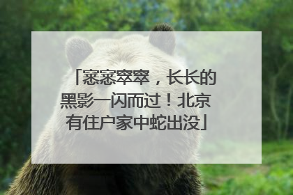 窸窸窣窣，长长的黑影一闪而过！北京有住户家中蛇出没