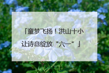 童梦飞扬！洪山十小让诗意绽放“六一”