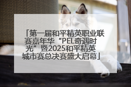 第一届和平精英职业联赛嘉年华“PEL奇遇时光”暨2025和平精英城市赛总决赛盛大启幕