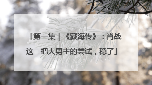 第一集｜《藏海传》：肖战这一把大男主的尝试，稳了