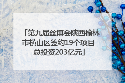 第九届丝博会陕西榆林市横山区签约19个项目 总投资203亿元