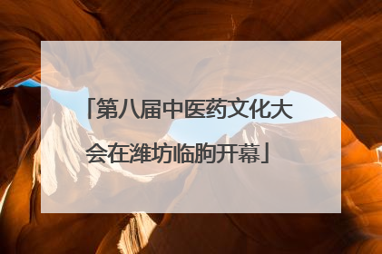 第八届中医药文化大会在潍坊临朐开幕