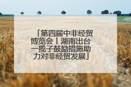 第四届中非经贸博览会丨湖南出台一揽子鼓励措施助力对非经贸发展