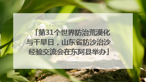 第31个世界防治荒漠化与干旱日，山东省防沙治沙经验交流会在东阿县举办