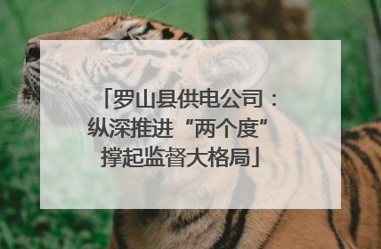 罗山县供电公司：纵深推进“两个度” 撑起监督大格局