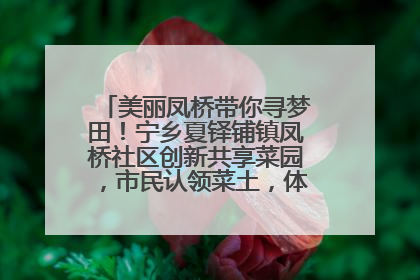 美丽凤桥带你寻梦田！宁乡夏铎铺镇凤桥社区创新共享菜园，市民认领菜土，体验耕种收获乐趣