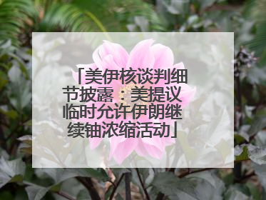美伊核谈判细节披露：美提议临时允许伊朗继续铀浓缩活动