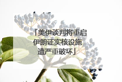 美伊谈判将重启 伊朗证实核设施遭严重破坏