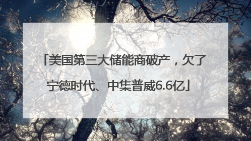美国第三大储能商破产，欠了宁德时代、中集普威6.6亿