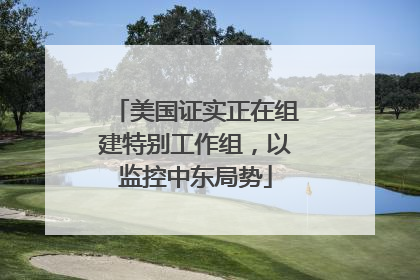 美国证实正在组建特别工作组，以监控中东局势