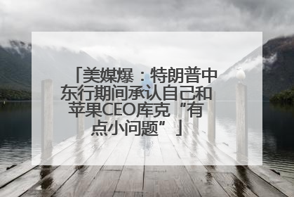 美媒爆：特朗普中东行期间承认自己和苹果CEO库克“有点小问题”