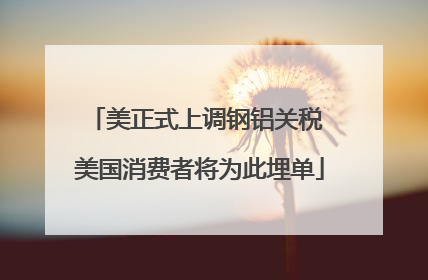 美正式上调钢铝关税 美国消费者将为此埋单