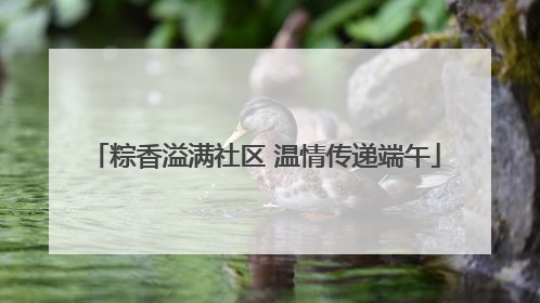 粽香溢满社区 温情传递端午