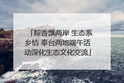 粽香飘两岸 生态系乡情 奉台两地端午活动深化生态文化交流