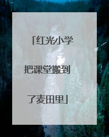 红光小学把课堂搬到了麦田里