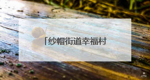 纱帽街道幸福村开展书香禁毒主题宣传教育活动