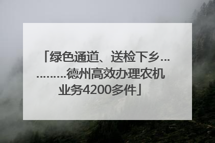 绿色通道、送检下乡…………德州高效办理农机业务4200多件