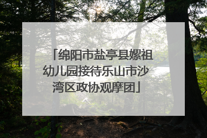 绵阳市盐亭县嫘祖幼儿园接待乐山市沙湾区政协观摩团