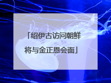 绍伊古访问朝鲜 将与金正恩会面