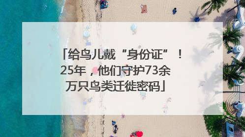 给鸟儿戴“身份证”！25年，他们守护73余万只鸟类迁徙密码