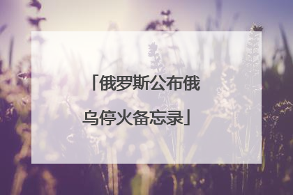 俄罗斯公布俄乌停火备忘录