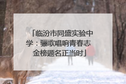 临汾市同盛实验中学：骊歌唱响青春志 金榜题名正当时