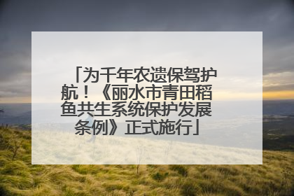 为千年农遗保驾护航！《丽水市青田稻鱼共生系统保护发展条例》正式施行