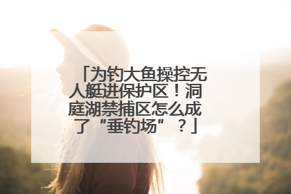 为钓大鱼操控无人艇进保护区！洞庭湖禁捕区怎么成了“垂钓场”？