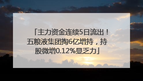 主力资金连续5日流出！五粮液集团掏6亿增持，持股微增0.12%显乏力