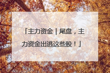 主力资金｜尾盘，主力资金出逃这些股！