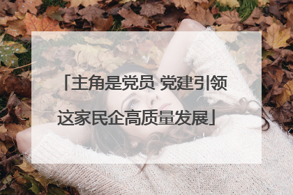 主角是党员 党建引领这家民企高质量发展
