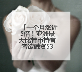一个月涨近5倍！亚洲最大比特币持有者欲融资53亿美元 豪言要囤积21万枚比特币