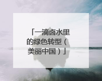 一滴卤水里的绿色转型（美丽中国）