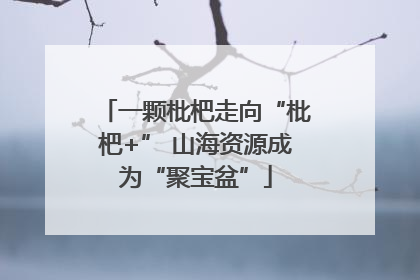 一颗枇杷走向“枇杷+” 山海资源成为“聚宝盆”
