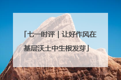 七一时评｜让好作风在基层沃土中生根发芽