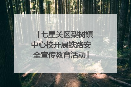 七星关区梨树镇中心校开展铁路安全宣传教育活动