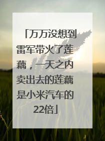 万万没想到雷军带火了莲藕，一天之内卖出去的莲藕是小米汽车的22倍