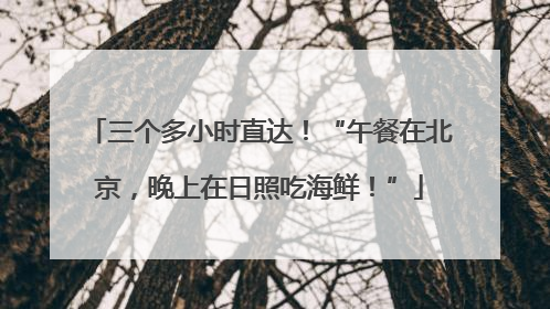 三个多小时直达！“午餐在北京，晚上在日照吃海鲜！”