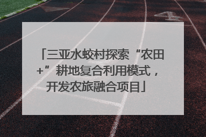 三亚水蛟村探索“农田+”耕地复合利用模式，开发农旅融合项目