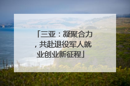 三亚：凝聚合力，共赴退役军人就业创业新征程