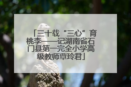 三十载“三心”育桃李——记湖南省石门县第一完全小学高级教师覃玲君