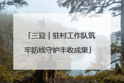 三夏｜驻村工作队筑牢防线守护丰收成果