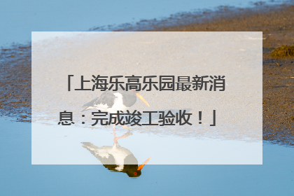 上海乐高乐园最新消息：完成竣工验收！