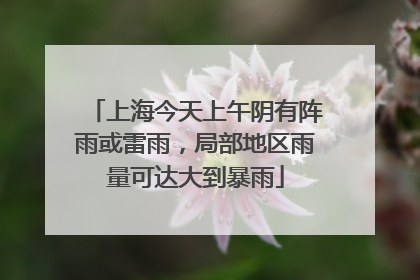 上海今天上午阴有阵雨或雷雨，局部地区雨量可达大到暴雨