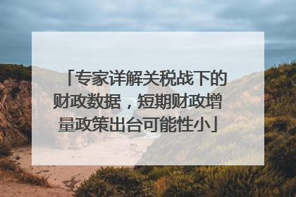专家详解关税战下的财政数据，短期财政增量政策出台可能性小