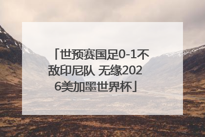 世预赛国足0-1不敌印尼队 无缘2026美加墨世界杯