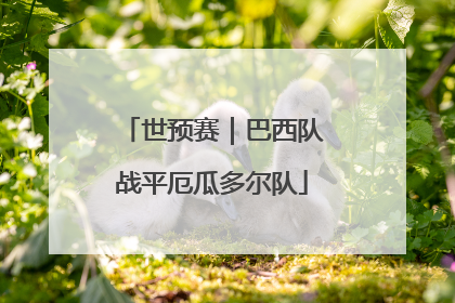 世预赛｜巴西队战平厄瓜多尔队