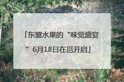 东盟水果的“味觉盛宴”6月18日在邕开启