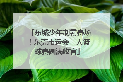 东城少年制霸赛场！东莞市运会三人篮球赛圆满收官