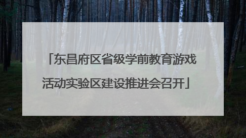 东昌府区省级学前教育游戏活动实验区建设推进会召开